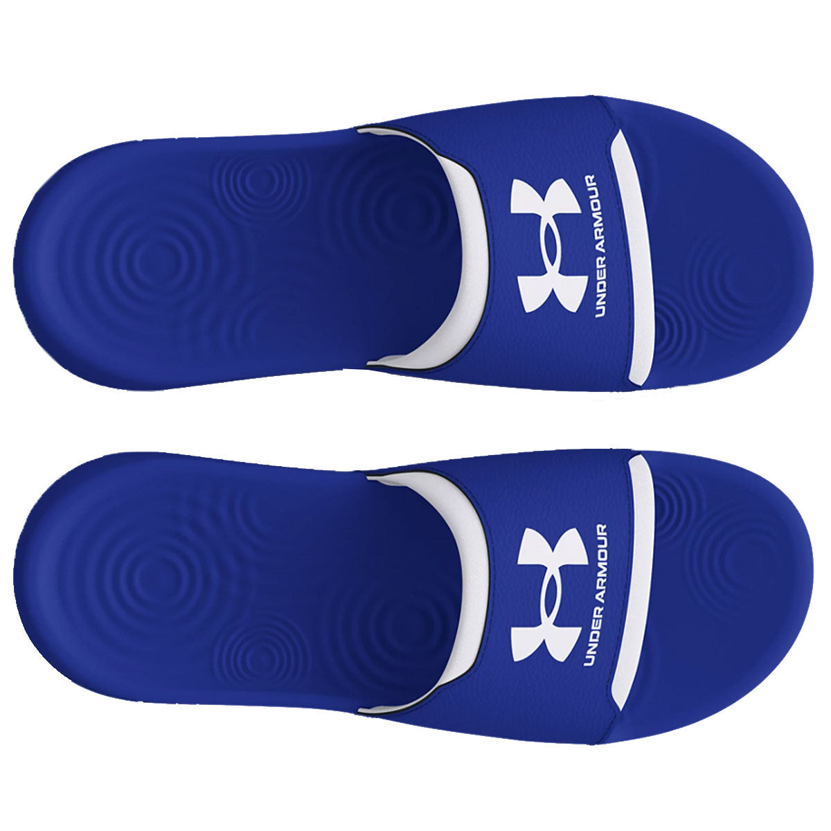 Under Armour Ignite Select Sliders - Adult - Blue/White